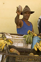 &copy;2005 Gary Robins "Fruit stand in Trinidad"