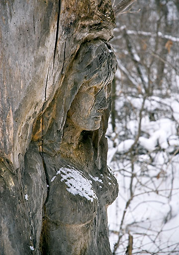 "Snow spirit", &copy;2008 Gary Robins