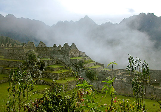 "Orchid gardens, Machu Picchu", &copy;2003 Gary Robins