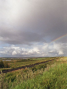 "Somewhere under a rainbow"