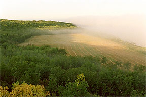 "South of Batoche"