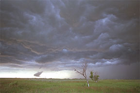 "Summer storm #2"
