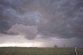 "Summer storm #3"