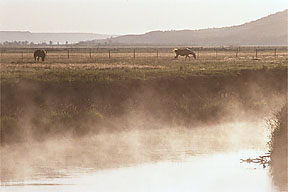 "Sunrise along the Qu'Appelle River