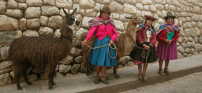 Quechan villagers with their llamas on the streets of Cuzco, Peru.