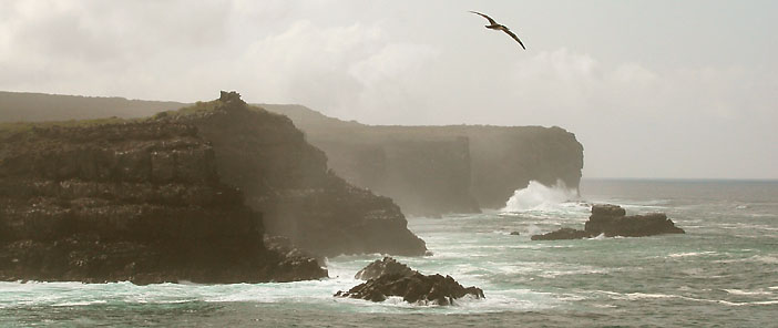 Surf and cliffs on Isla Espanola